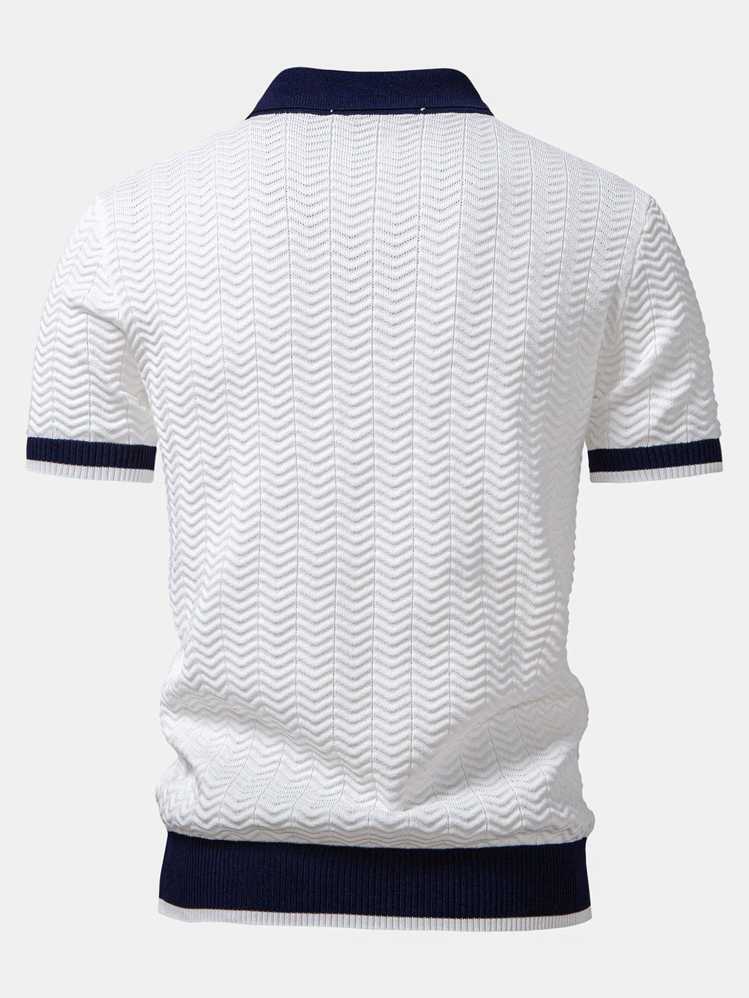 Ascot Contrast Collar Knit Polo Shirt