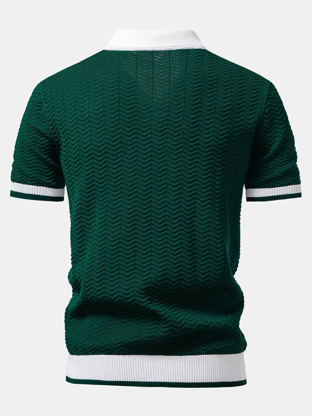 Ascot Contrast Collar Knit Polo Shirt