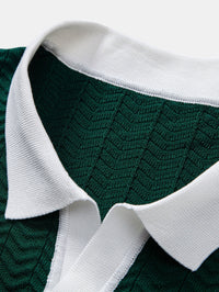 Ascot Contrast Collar Knit Polo Shirt
