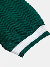 Ascot Contrast Collar Knit Polo Shirt